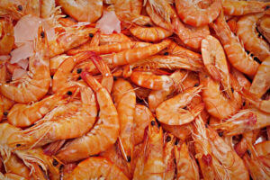 Shrimp or prawn